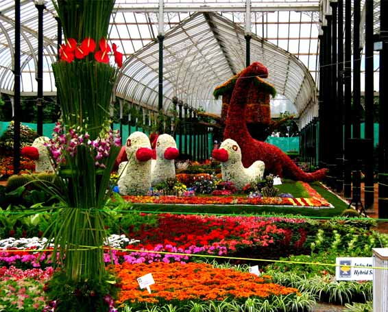 Lal Bagh Botanical Garden Banglore