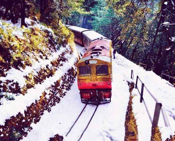 Shimla Train Tour 